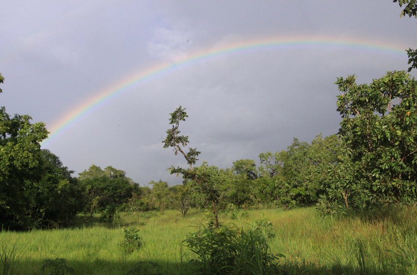 Comoe National Park, Northeastern Côte d'Ivoire, Côte d'Ivoire